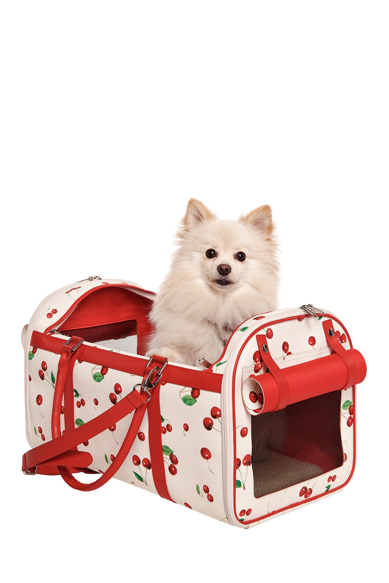 A small fluffy white dog sits in the I.AM.GIA TRIXX PET CARRIER - CHERRY ON TOP, a cherry-print bag with mesh windows and a red shoulder strap. The dog looks up with an alert expression.