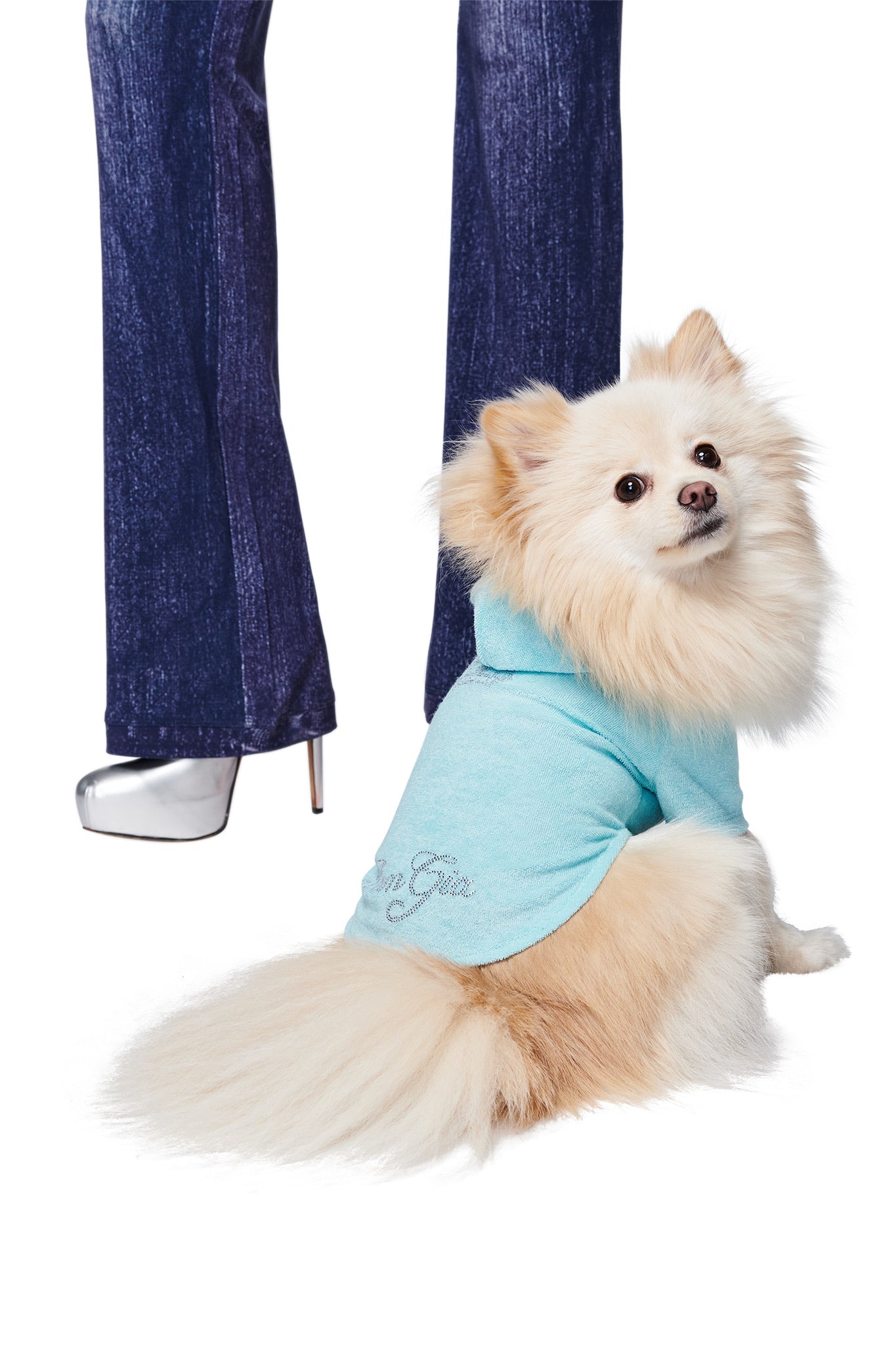 A fluffy cream-colored Pomeranian wears the I.AM.GIA HONEY DOG HOODIE in baby blue, sitting on the floor and looking back. Nearby, only the legs of a person in dark jeans and silver high heels appear against a white background.