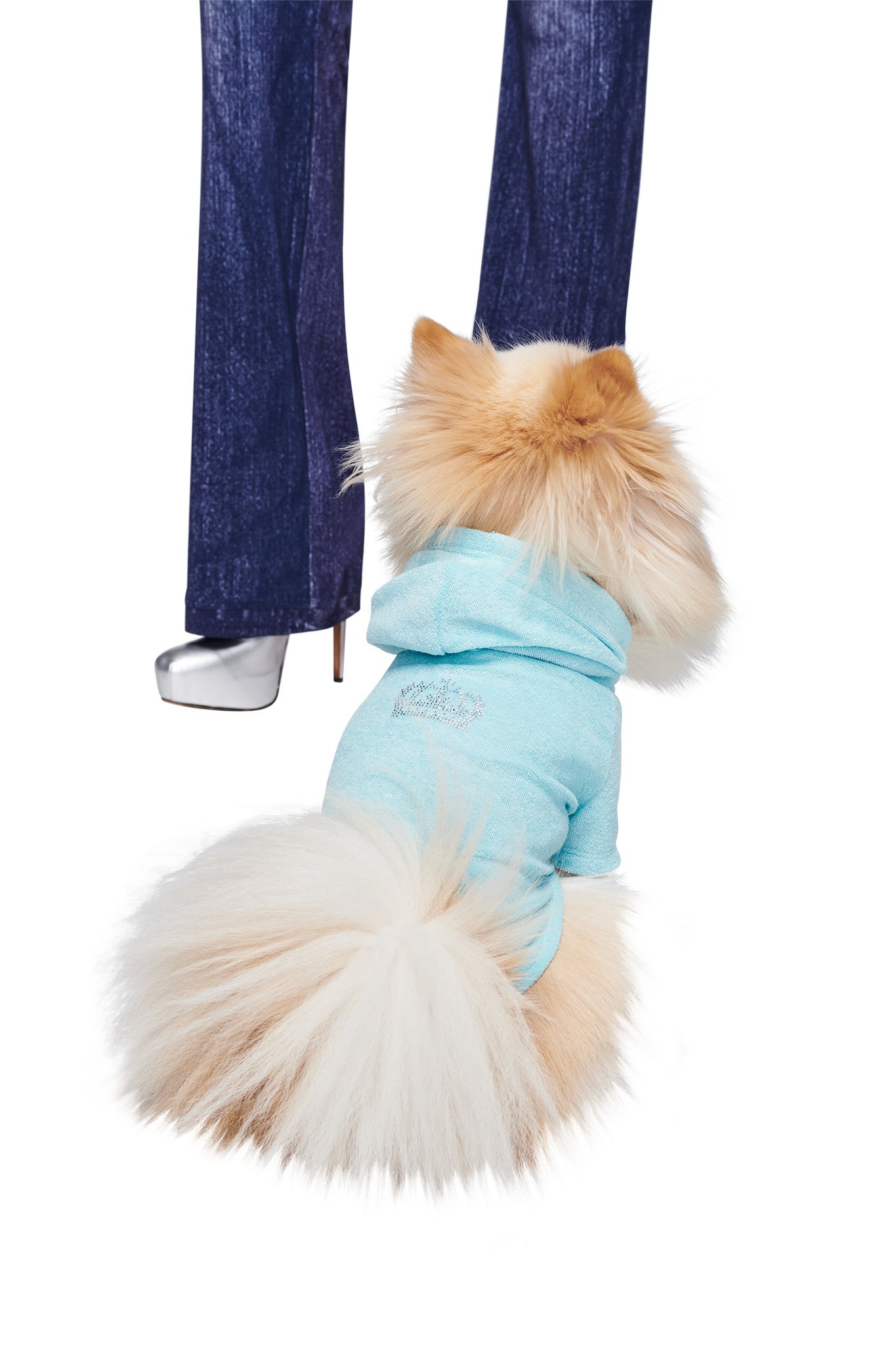 A fluffy light brown and white dog wears the HONEY DOG HOODIE - BABY BLUE by I.AM.GIA, sitting and facing a person in blue jeans and silver heels, with only the lower legs of the person visible.