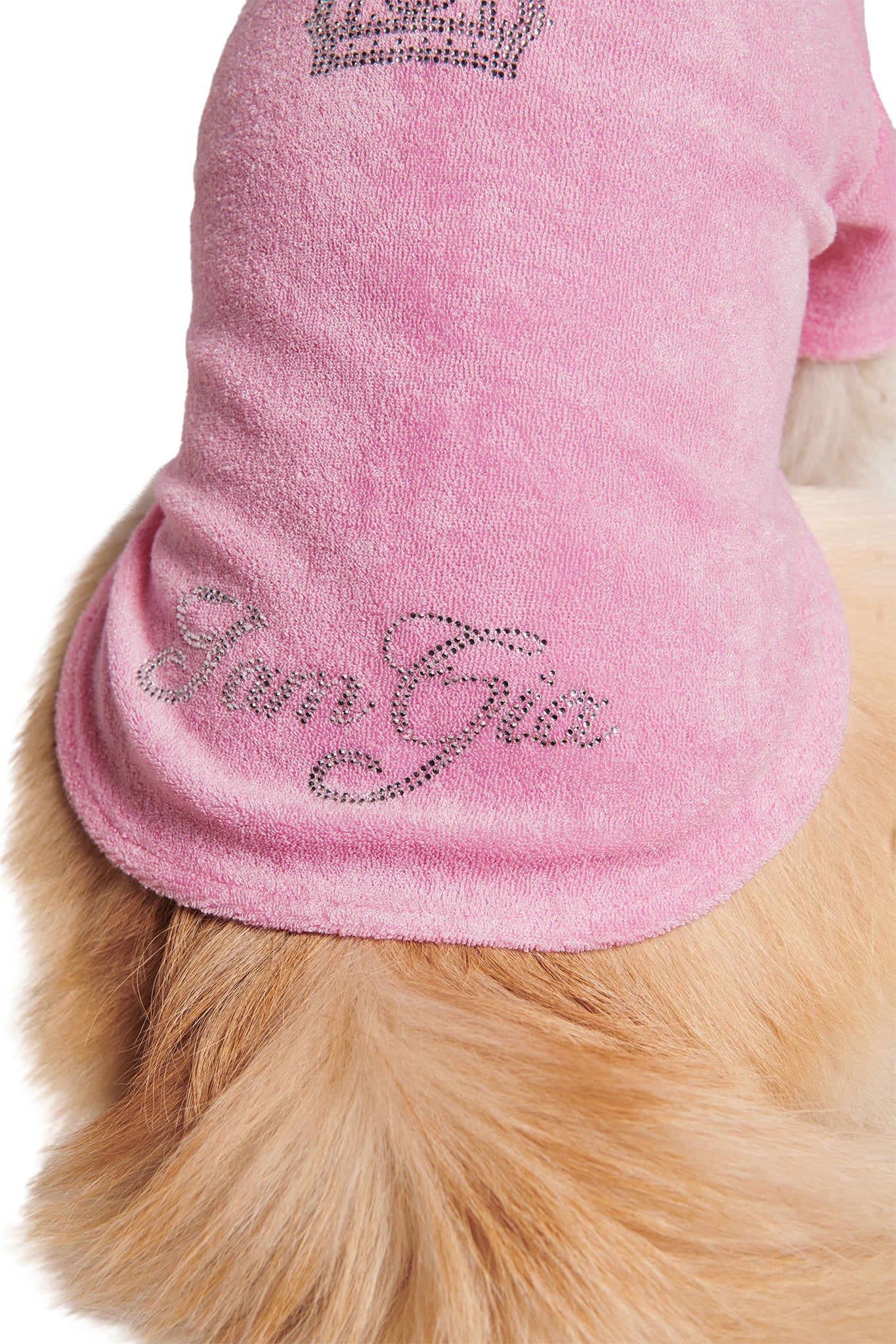 A fluffy light-brown dog wears the I.AM.GIA HONEY DOG HOODIE in pink, featuring a rhinestone crown and sparkling silver "Glam Gia" lettering on the back.