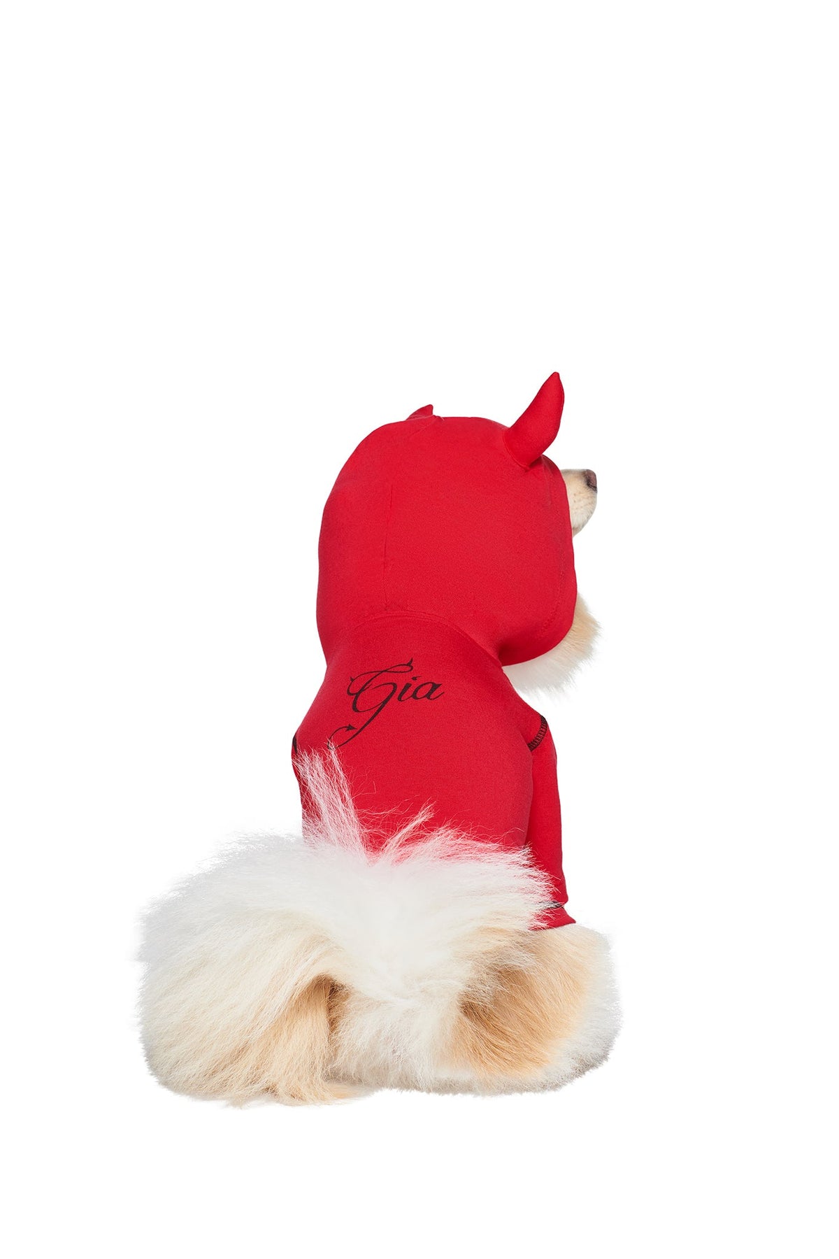 A fluffy dog sits facing away, wearing the I.AM.GIA T-REX BEST FRIEND BLARE HORN DOG HOODIE - RED, with its fluffy tail sticking out from the hoodie.
