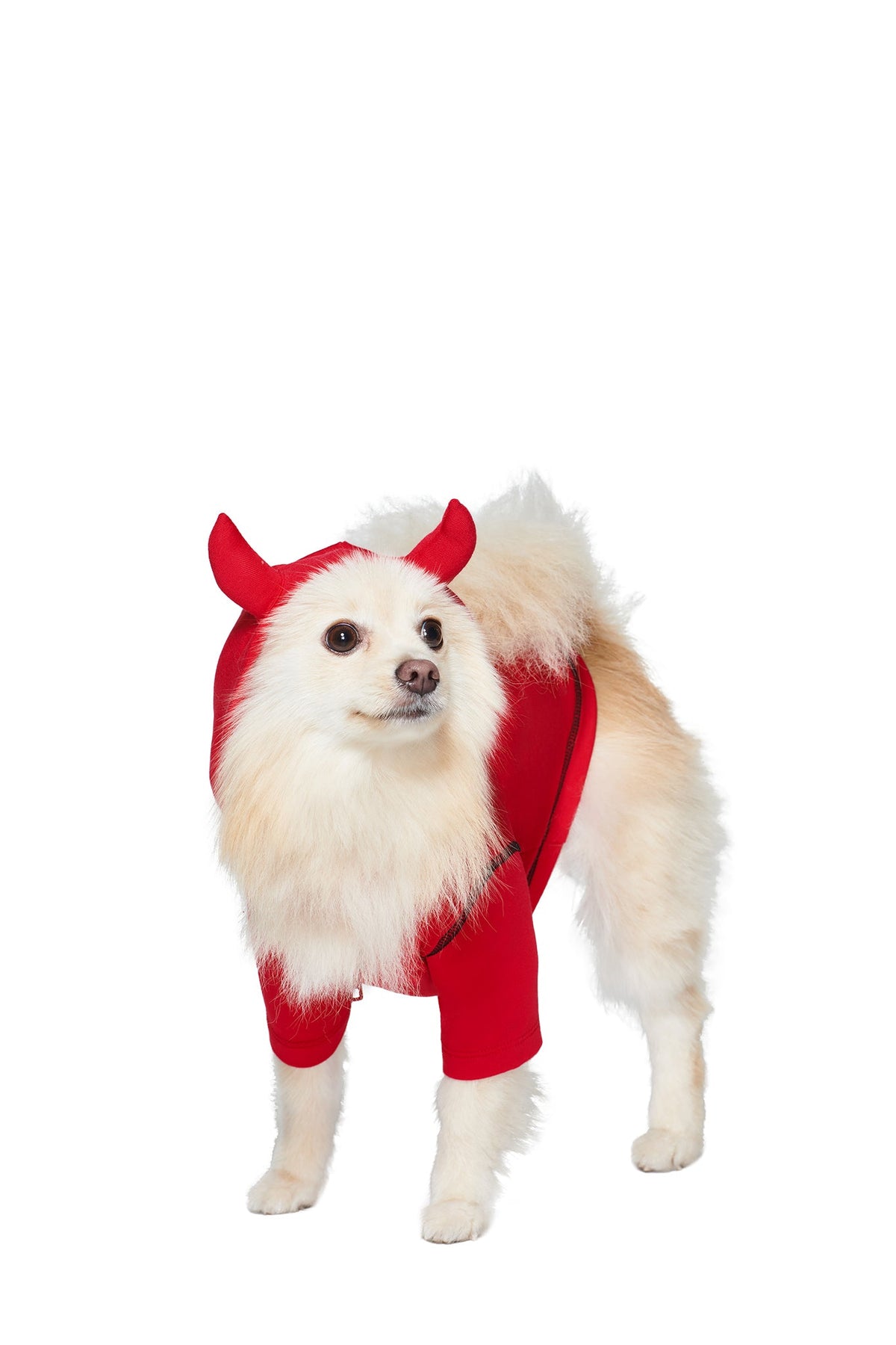 A fluffy white dog models the T-REX BEST FRIEND BLARE HORN DOG HOODIE - RED by I.AM.GIA on a white background.