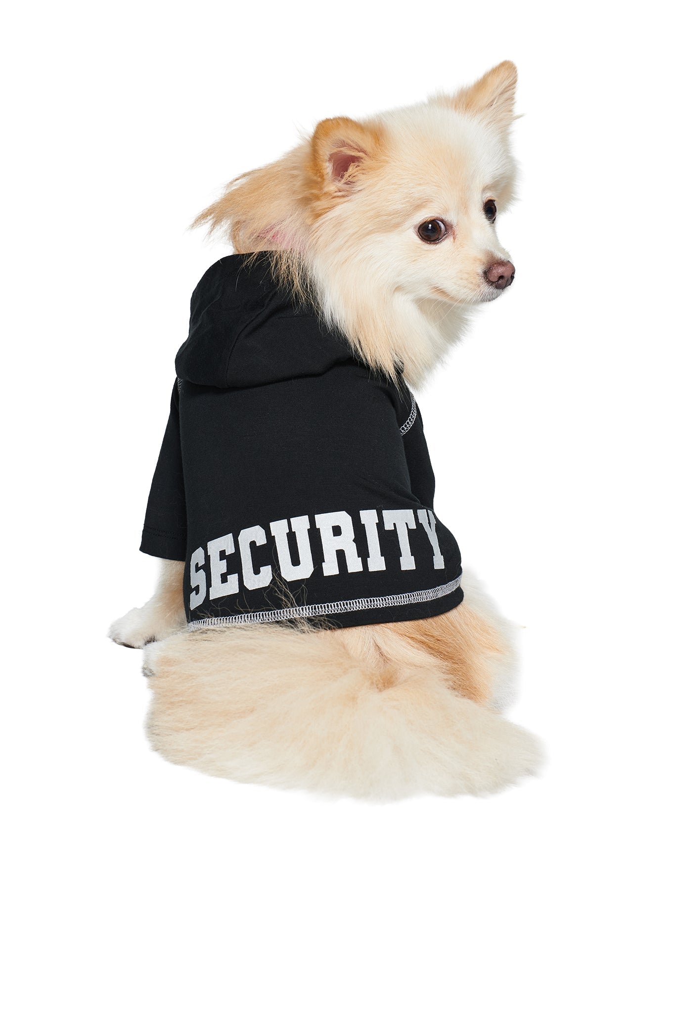 A fluffy light tan dog sits and looks over its shoulder against a white background, wearing the I.AM.GIA BLARE DOG HOODIE in Jet Black: Security—crafted from soft viscose jersey and featuring a bold reflective “SECURITY” graphic on the back.