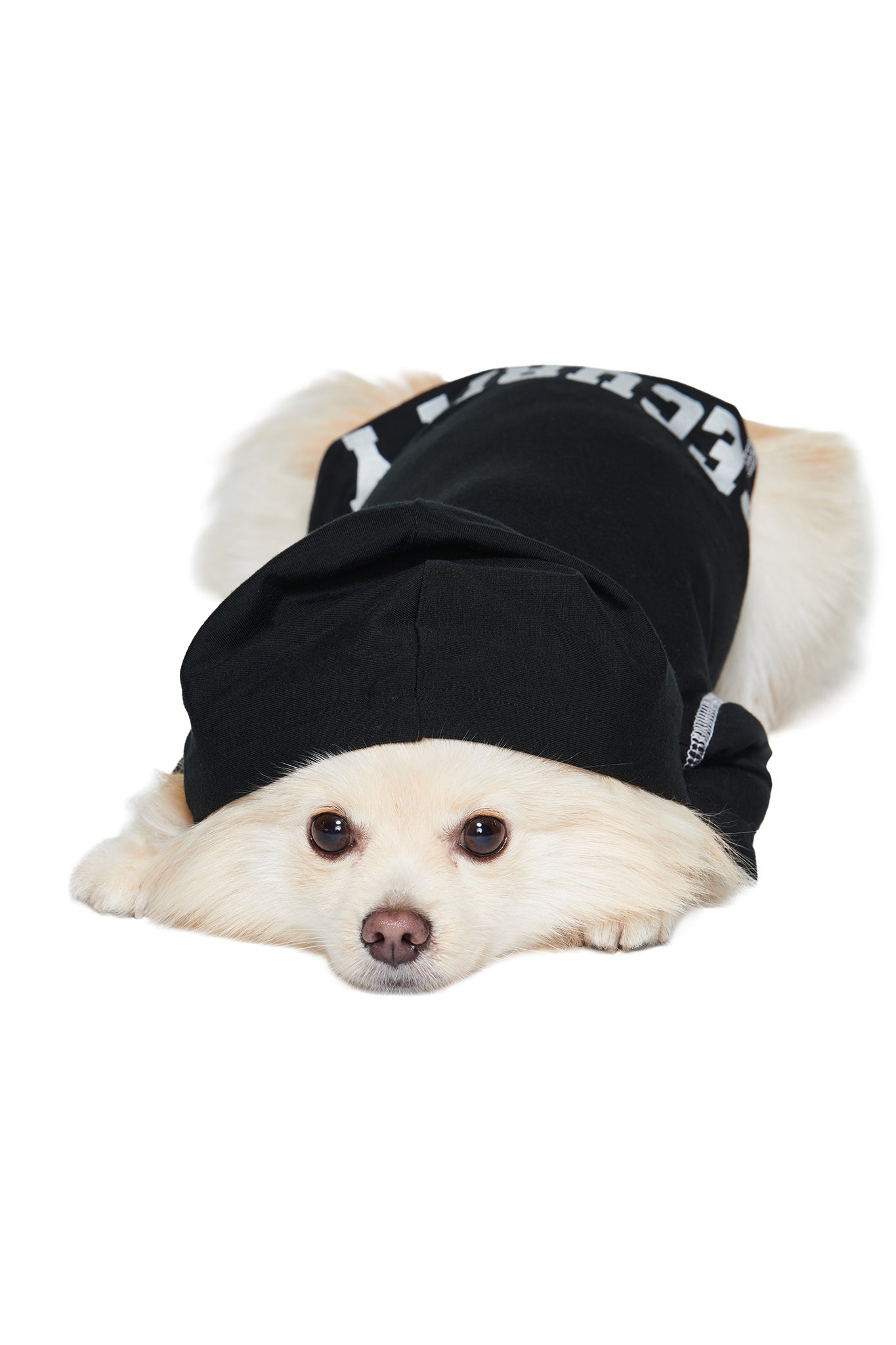 A fluffy white dog lies down against a white background, wearing the I.AM.GIA BLARE DOG HOODIE - JET BLACK : SECURITY, crafted from soft viscose jersey with a partially visible reflective “SECURITY” graphic in white lettering on the back.
