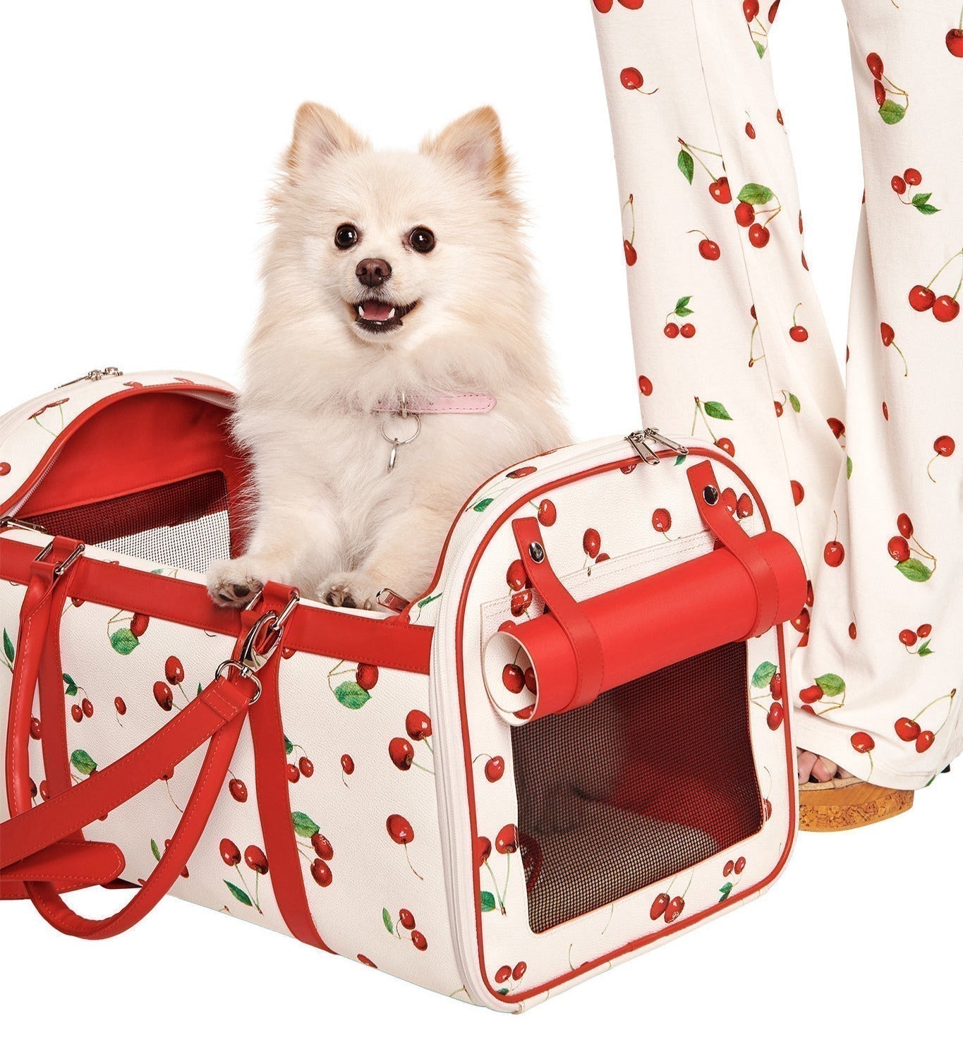 Best Friend Pet Acessories