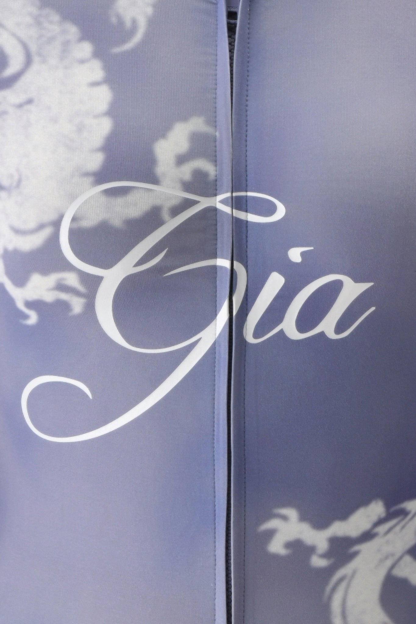 Close-up of a steel blue fabric with intricate dragon patterns and the brand name “I.AM.GIA” in elegant script across the center, reminiscent of the soft textures found in the BLARE HOODIE design.