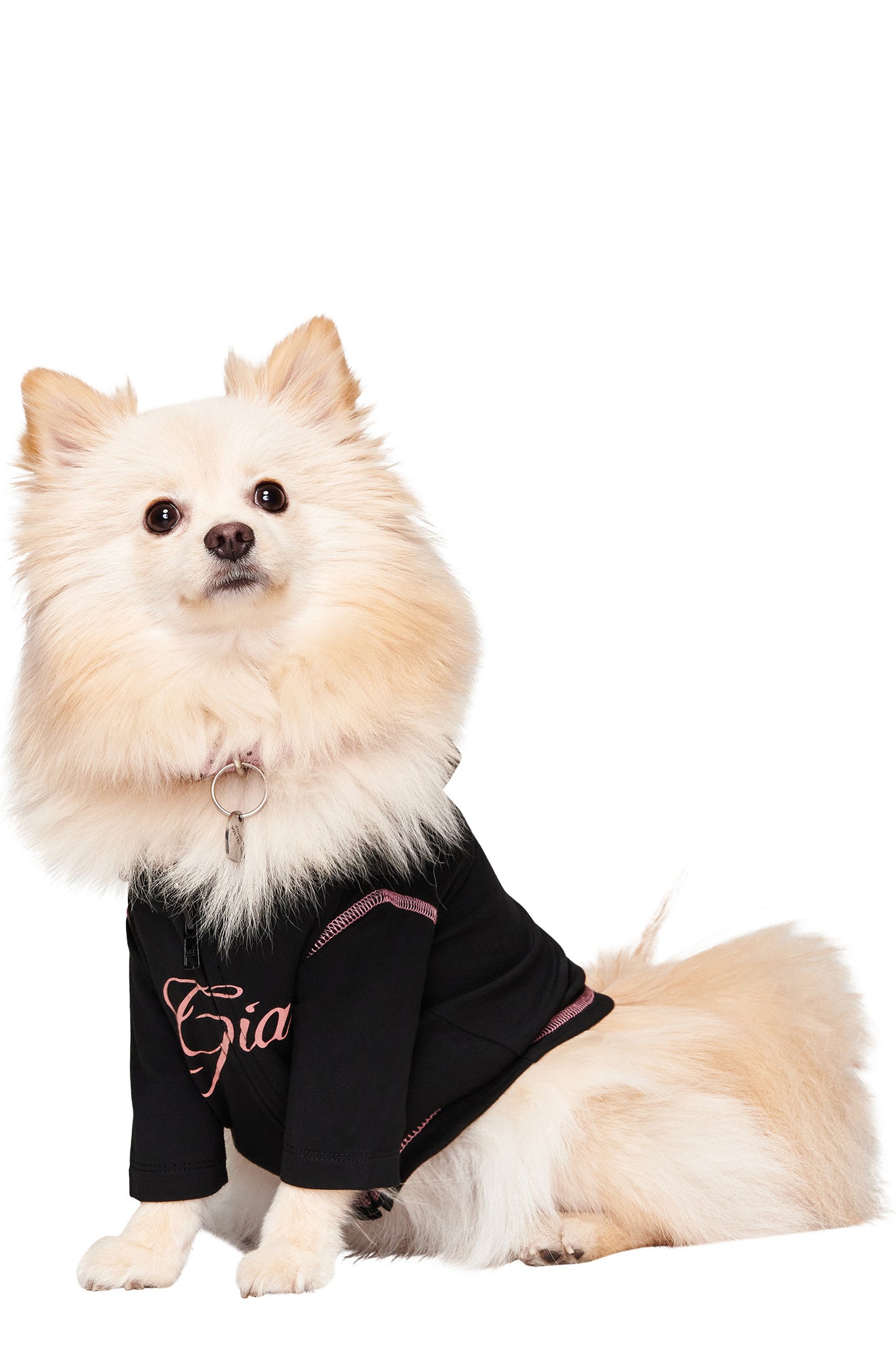 A fluffy, cream-colored dog wearing the I.AM.GIA BLARE BEST FRIEND DOG HOODIE in black sits on a white background, looking upward.