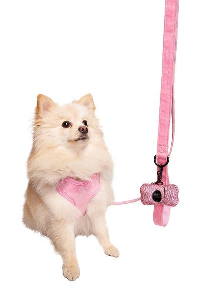 pinkdog様 STAR PAWFECT 3-PIECE SET - BABY PINK