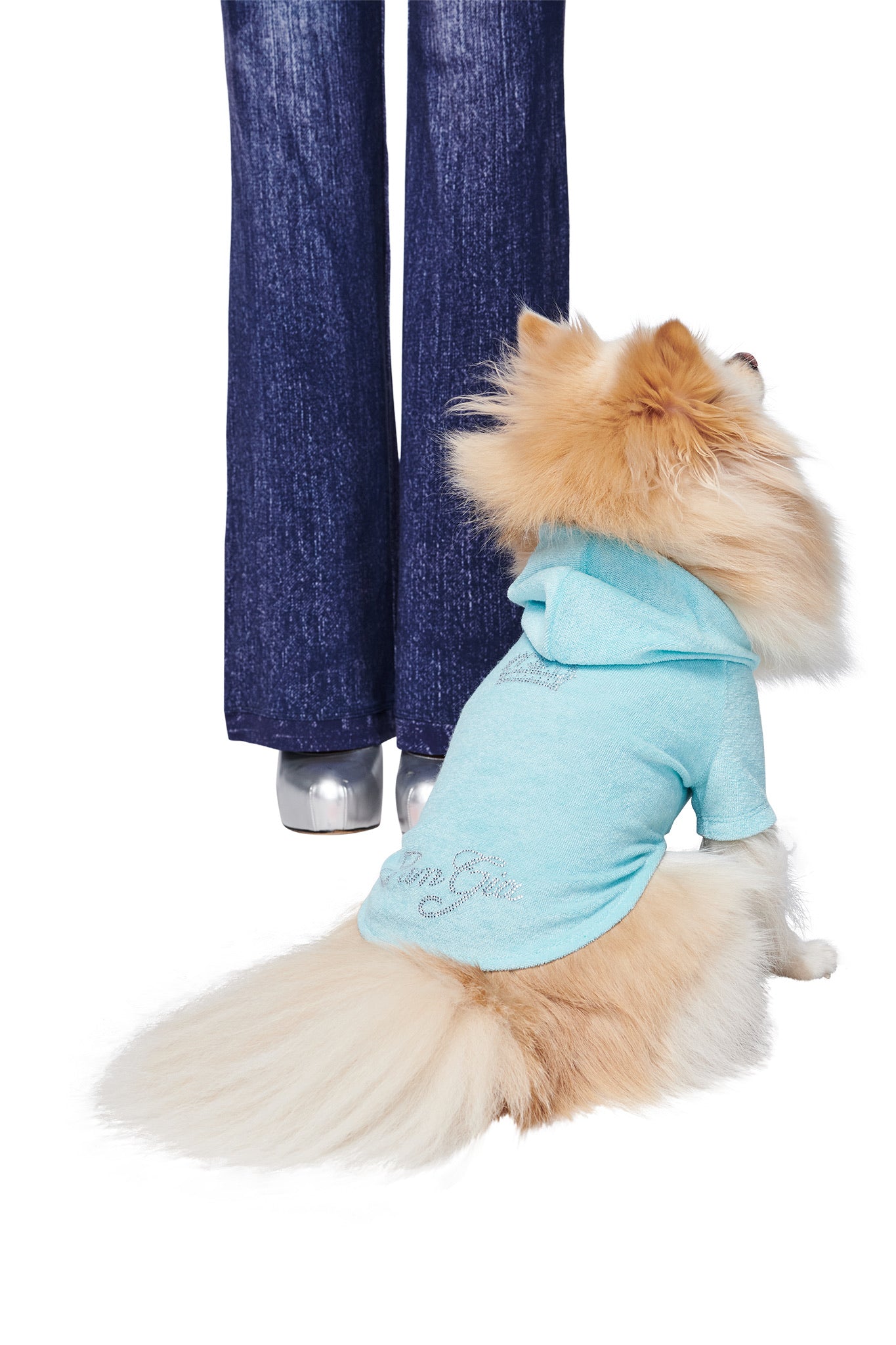 A fluffy, light brown and white dog wearing the I.AM.GIA HONEY DOG HOODIE in Baby Blue sits on the floor, looking up at a person dressed in blue jeans and silver shoes.