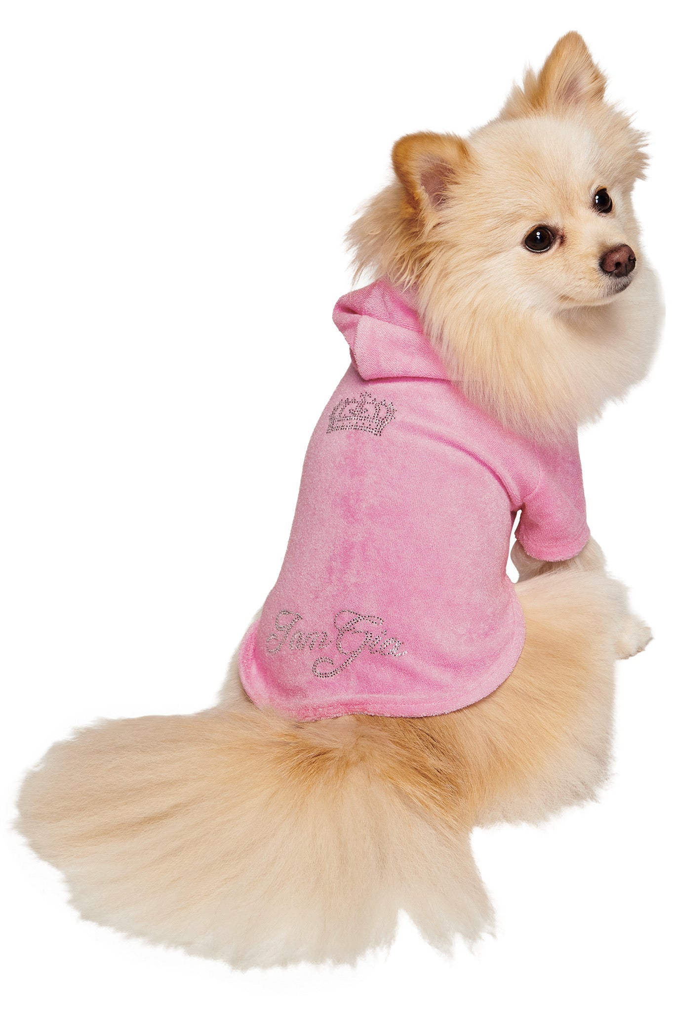 A fluffy light brown Pomeranian sits backward, wearing the I.AM.GIA HONEY DOG HOODIE in pink, with sparkling text on the back, and looks over its shoulder at the camera.