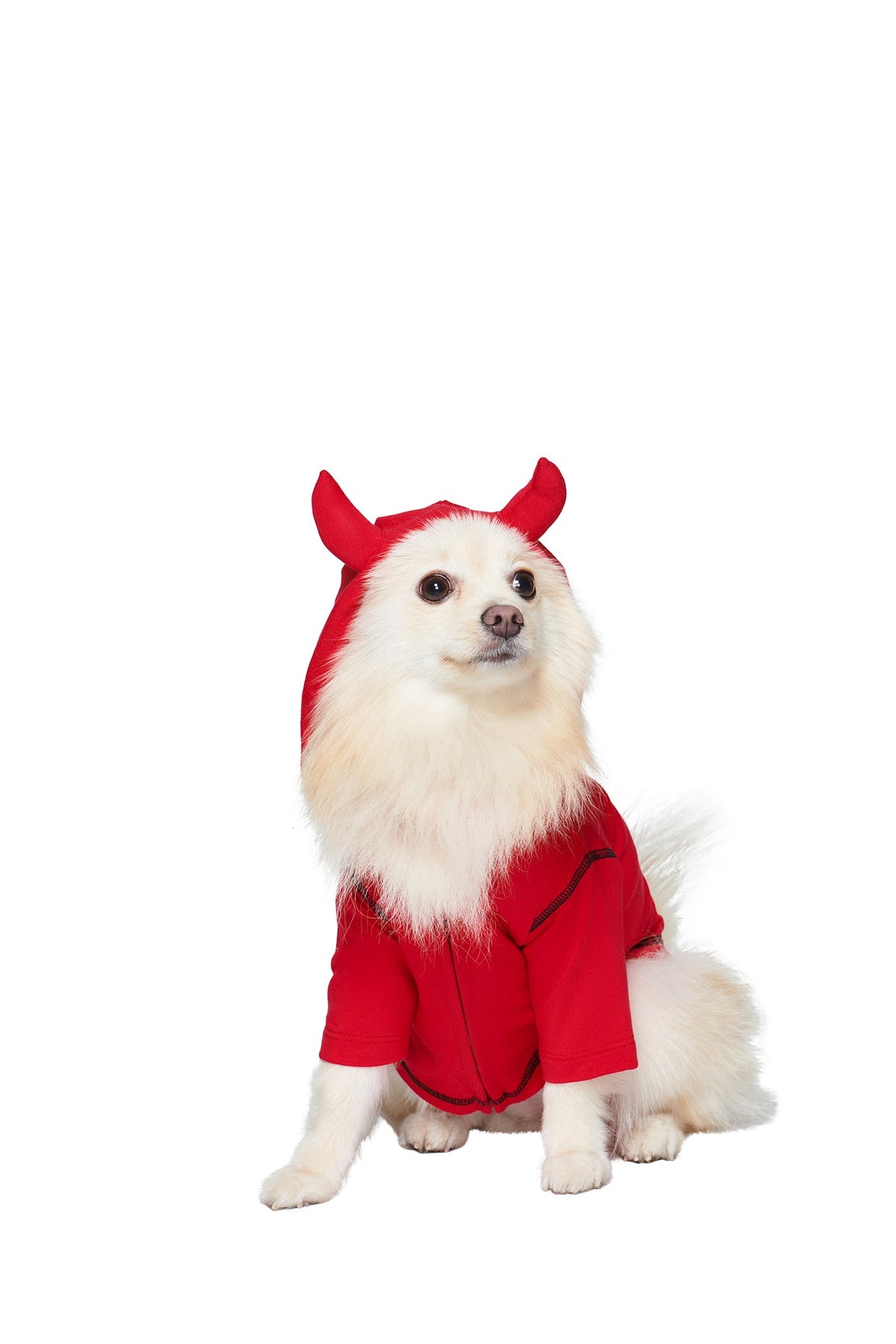 A fluffy white dog wears the T-REX BEST FRIEND BLARE HORN DOG HOODIE - RED by I.AM.GIA, gazing off to the side against a plain white background.