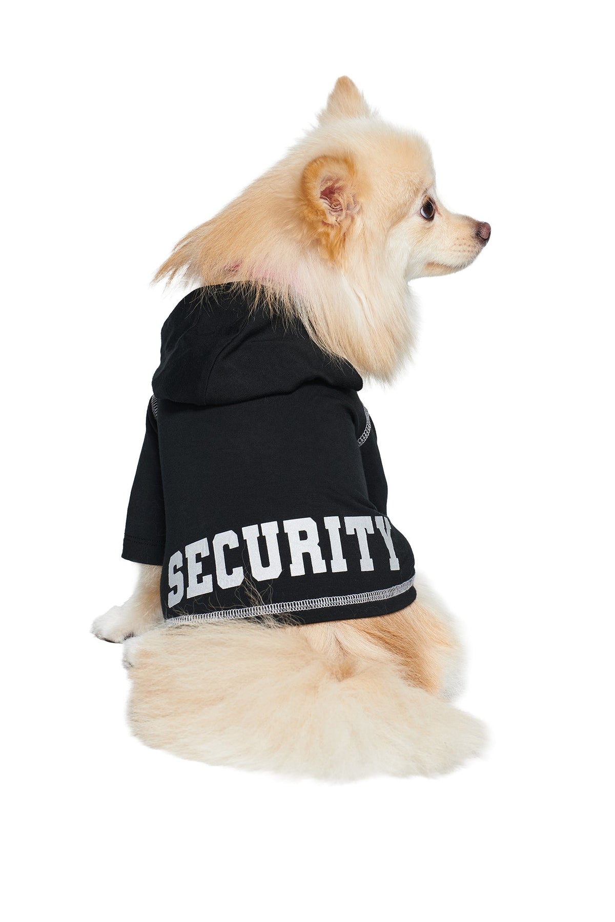 Wearing the BLARE DOG HOODIE - JET BLACK : SECURITY by I.AM.GIA—a soft viscose jersey hoodie featuring a bold reflective “SECURITY” graphic in large white letters on the back—a fluffy, light-colored dog sits looking to the side against a white background.